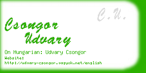 csongor udvary business card